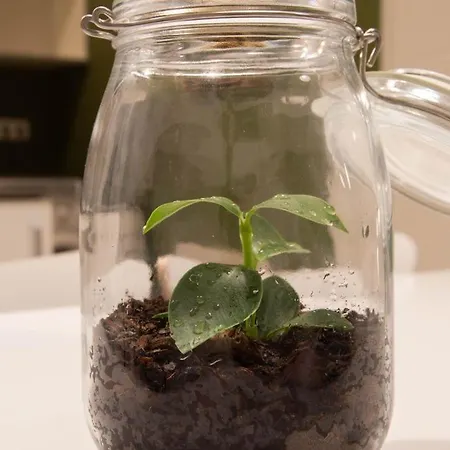 La Plaza-colon, 1 Habitacion. Daire *